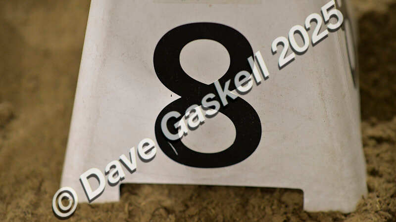 D4N_6055 - NorthcoteSun16thNov'25 Unaff.Jumping AvailableUntil16thDec'25