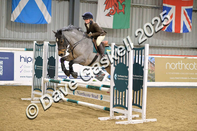 D4N_5785 - NorthcoteSun16thNov'25 Unaff.Jumping AvailableUntil16thDec'25