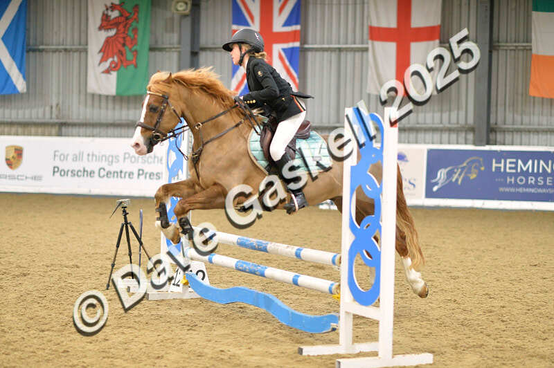 D4N_5764 - NorthcoteSun16thNov'25 Unaff.Jumping AvailableUntil16thDec'25