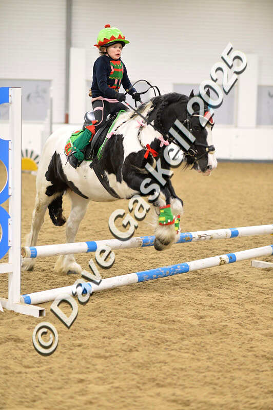 D4N_6666 - NorthcoteSat8thDec'25 XmasShowJumping AvailableUntil6thJan'26