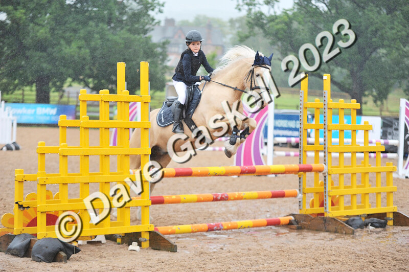 D8D_7307 - Juniors