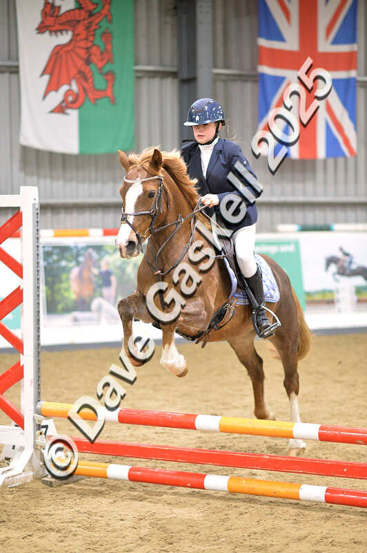 D4N_4753 - NorthcoteSun26thOct'25 Unaff.Jumping AvailableUntil28thNov'25