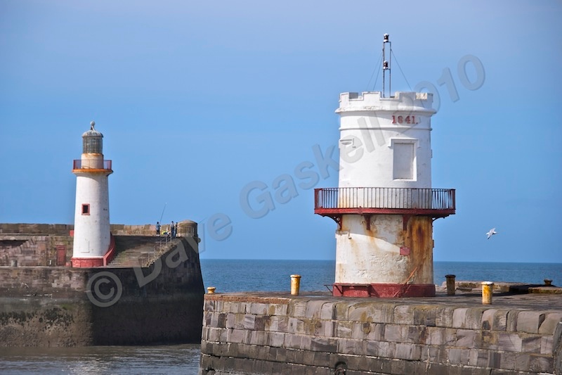 DSC_2977 - Whitehaven