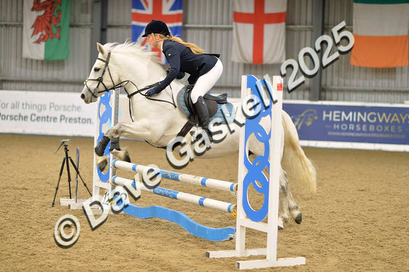 D4N_5741 - NorthcoteSun16thNov'25 Unaff.Jumping AvailableUntil16thDec'25