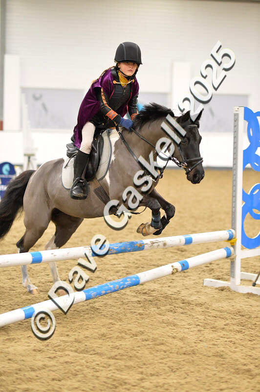 D4N_6817 - NorthcoteSat8thDec'25 XmasShowJumping AvailableUntil6thJan'26