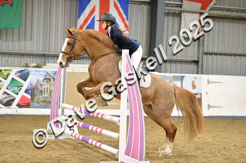D4N_6985 - NorthcoteSat8thDec'25 XmasShowJumping AvailableUntil6thJan'26