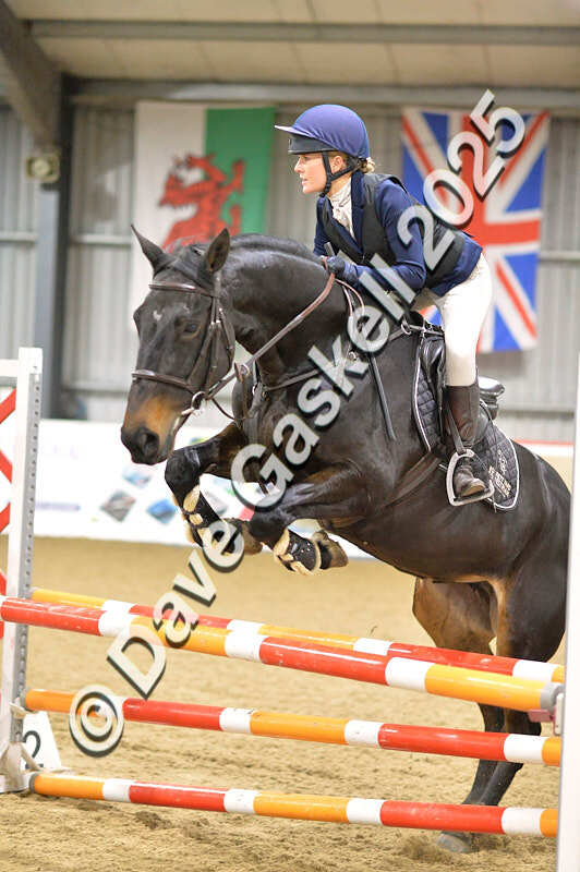 D4N_6456 - NorthcoteSun16thNov'25 Unaff.Jumping AvailableUntil16thDec'25