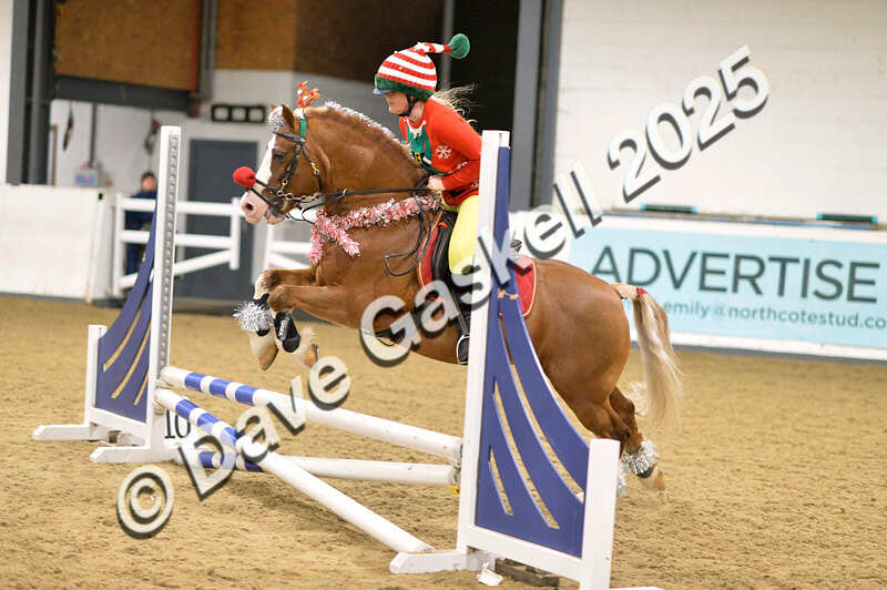 D4N_7103 - NorthcoteSat8thDec'25 XmasShowJumping AvailableUntil6thJan'26
