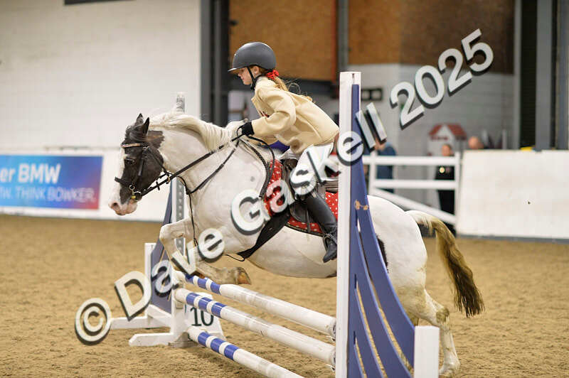 D4N_6768 - NorthcoteSat8thDec'25 XmasShowJumping AvailableUntil6thJan'26