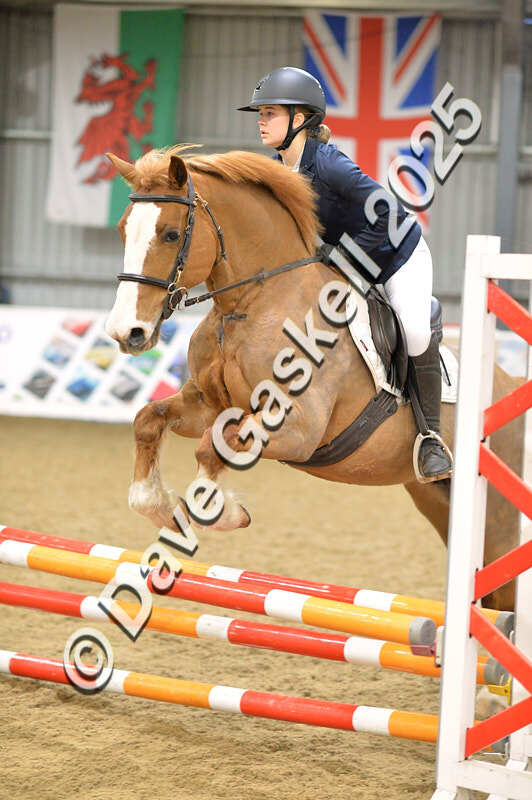 D4N_5742 - NorthcoteSun16thNov'25 Unaff.Jumping AvailableUntil16thDec'25