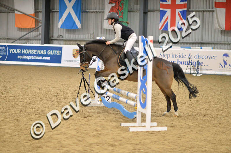 D4N_5629 - NorthcoteSun16thNov'25 Unaff.Jumping AvailableUntil16thDec'25