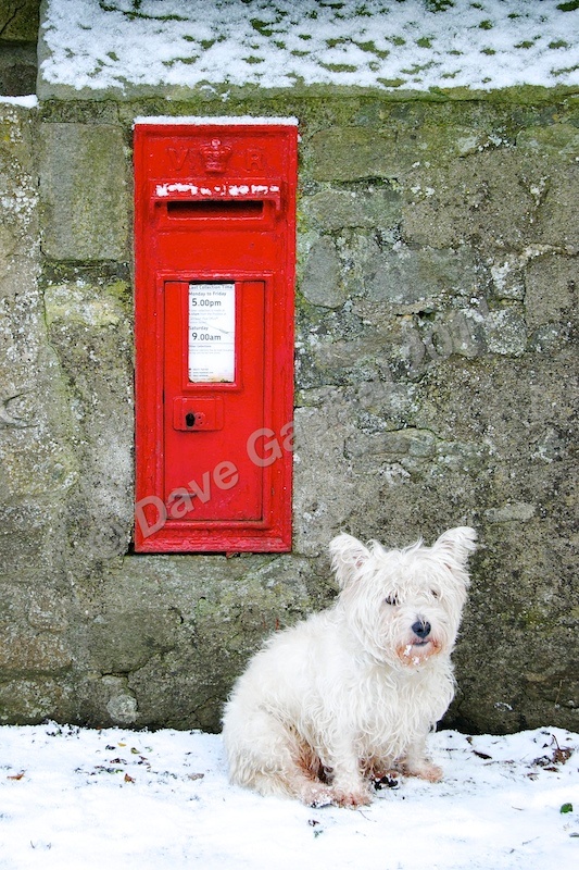 DSC_0108 - Phone & Post Boxes