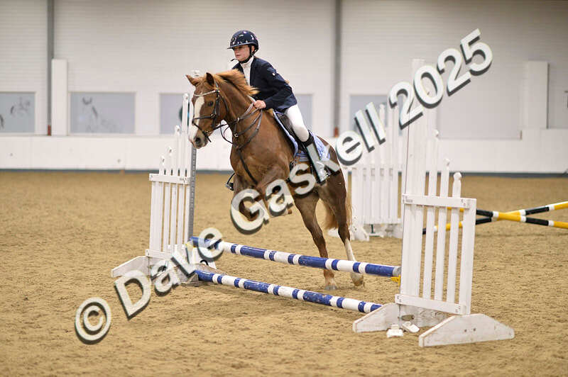 D4N_4754 - NorthcoteSun26thOct'25 Unaff.Jumping AvailableUntil28thNov'25