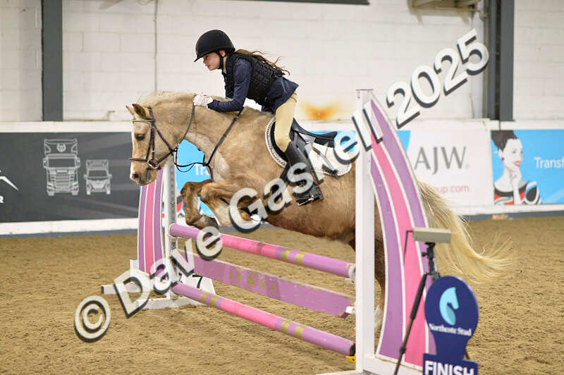 D4N_5716 - NorthcoteSun16thNov'25 Unaff.Jumping AvailableUntil16thDec'25