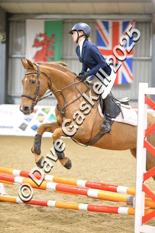 D4N_5966 - NorthcoteSun16thNov'25 Unaff.Jumping AvailableUntil16thDec'25