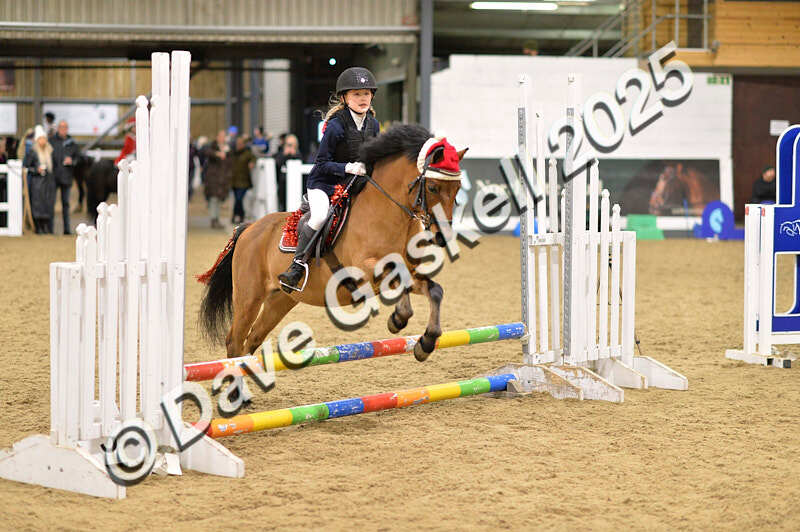 D4N_6709 - NorthcoteSat8thDec'25 XmasShowJumping AvailableUntil6thJan'26