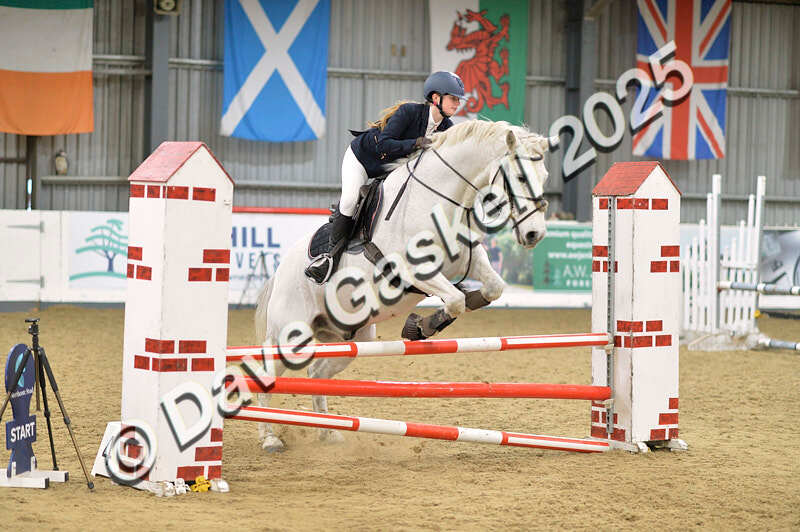 D4N_5904 - NorthcoteSun16thNov'25 Unaff.Jumping AvailableUntil16thDec'25