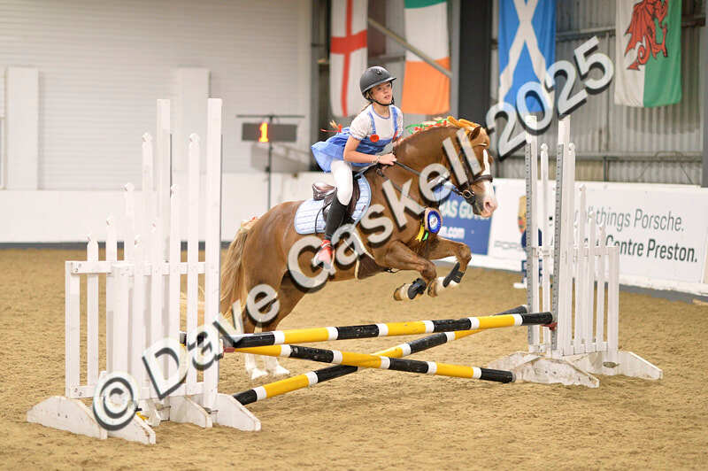 D4N_4958 - NorthcoteSun26thOct'25 Unaff.Jumping AvailableUntil28thNov'25