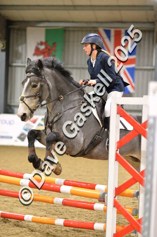 D4N_6246 - NorthcoteSun16thNov'25 Unaff.Jumping AvailableUntil16thDec'25