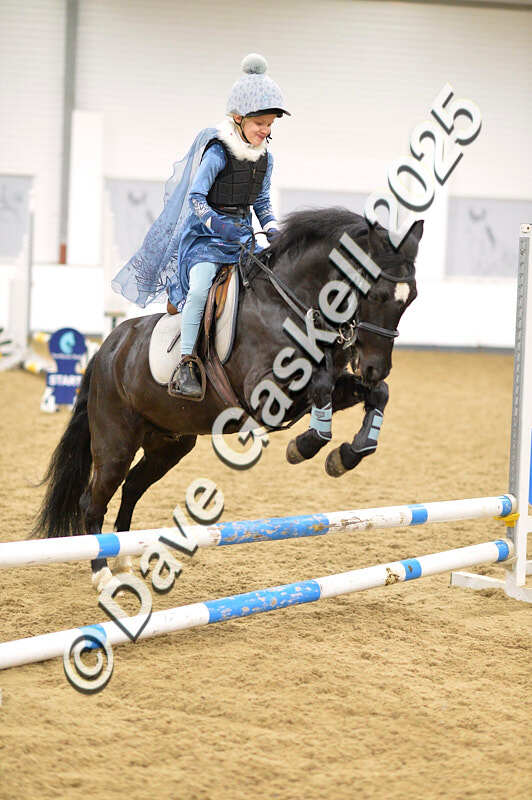 D4N_6726 - NorthcoteSat8thDec'25 XmasShowJumping AvailableUntil6thJan'26