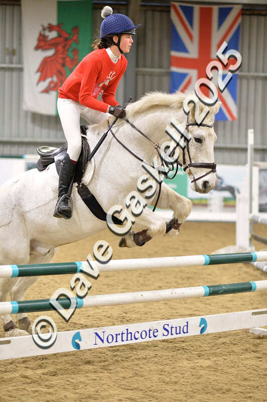 D4N_7011 - NorthcoteSat8thDec'25 XmasShowJumping AvailableUntil6thJan'26