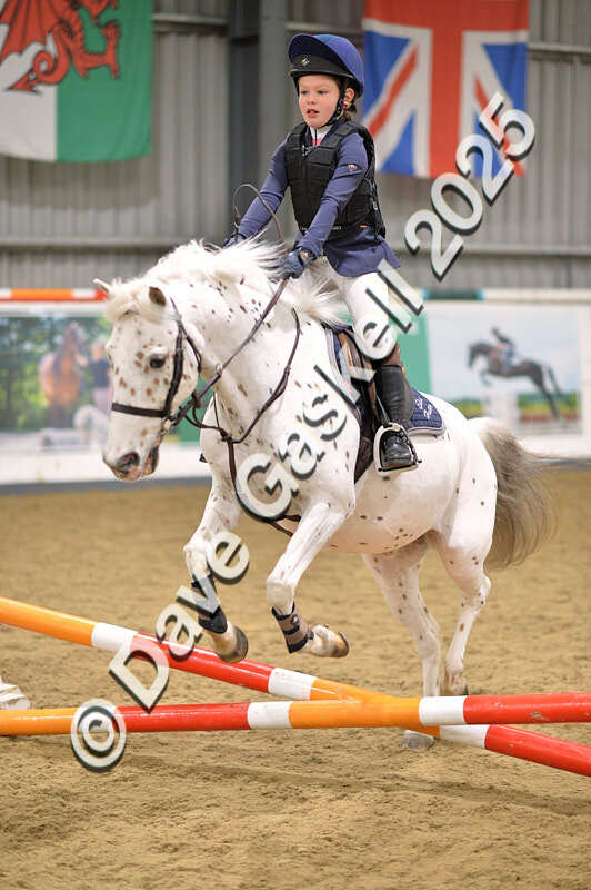 D4N_4663 - NorthcoteSun26thOct'25 Unaff.Jumping AvailableUntil28thNov'25