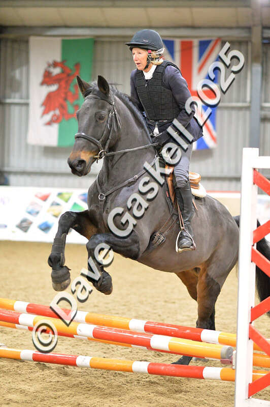 D4N_5972 - NorthcoteSun16thNov'25 Unaff.Jumping AvailableUntil16thDec'25