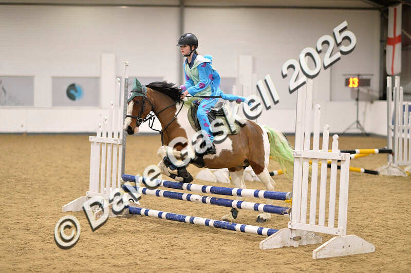 D4N_4900 - NorthcoteSun26thOct'25 Unaff.Jumping AvailableUntil28thNov'25