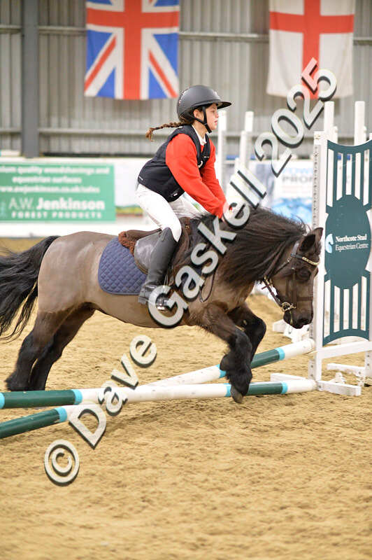 D4N_6603 - NorthcoteSat8thDec'25 XmasShowJumping AvailableUntil6thJan'26