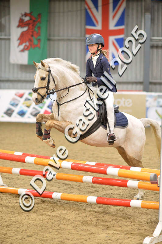 D4N_5754 - NorthcoteSun16thNov'25 Unaff.Jumping AvailableUntil16thDec'25