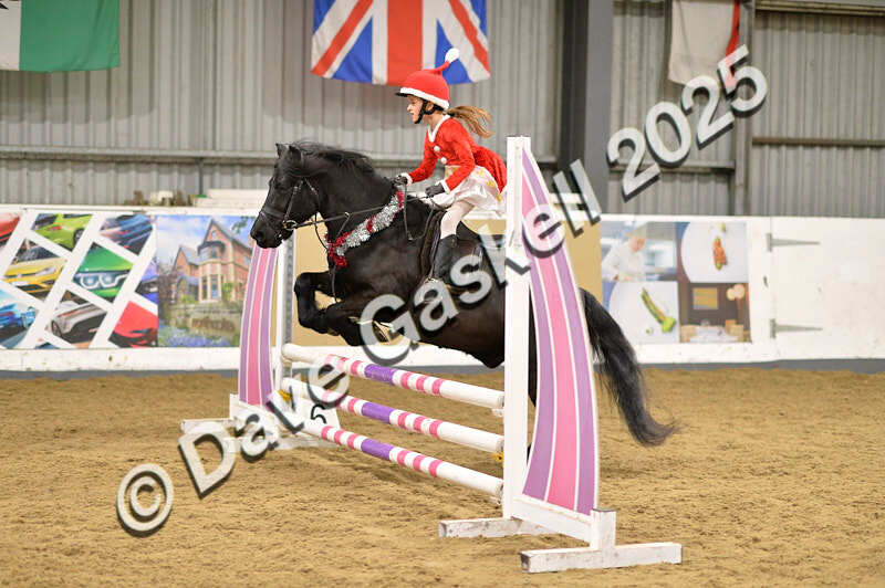 D4N_6830 - NorthcoteSat8thDec'25 XmasShowJumping AvailableUntil6thJan'26