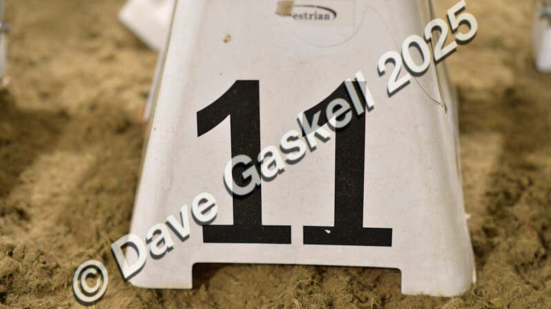 D4N_6559 - NorthcoteSun16thNov'25 Unaff.Jumping AvailableUntil16thDec'25