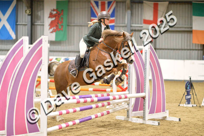 D4N_6137 - NorthcoteSun16thNov'25 Unaff.Jumping AvailableUntil16thDec'25