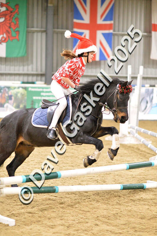 D4N_6698 - NorthcoteSat8thDec'25 XmasShowJumping AvailableUntil6thJan'26