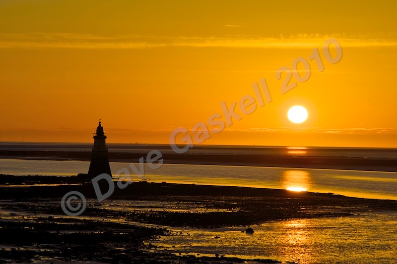 DSC_2784 - Plover Scar - Cockerham