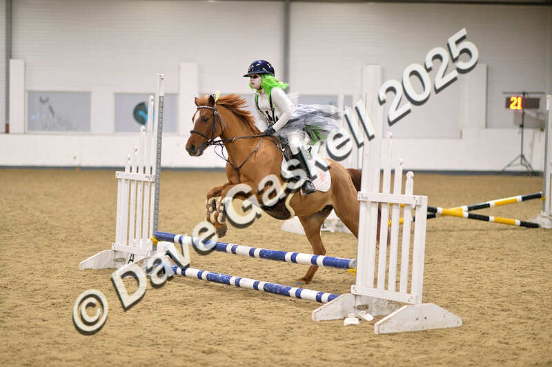 D4N_4761 - NorthcoteSun26thOct'25 Unaff.Jumping AvailableUntil28thNov'25