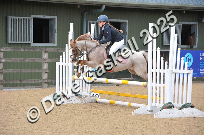 D8F_3498 - NorthcoteSat9thAug'25 Unaff.ShowJumping AvailableUntil9thSept25