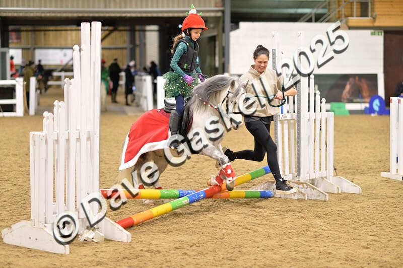 D4N_6580 - NorthcoteSat8thDec'25 XmasShowJumping AvailableUntil6thJan'26