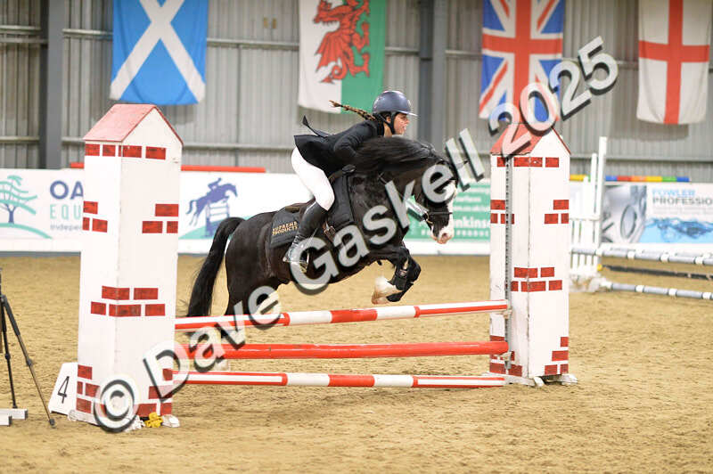 D4N_5985 - NorthcoteSun16thNov'25 Unaff.Jumping AvailableUntil16thDec'25