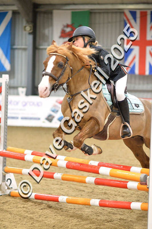 D4N_5834 - NorthcoteSun16thNov'25 Unaff.Jumping AvailableUntil16thDec'25