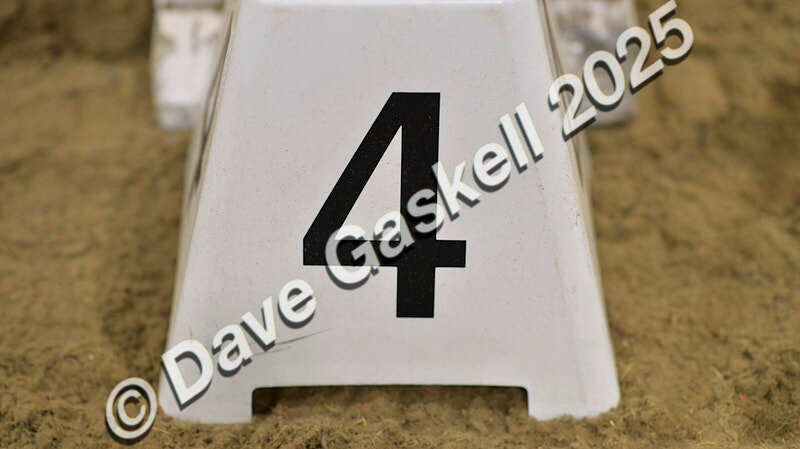 D4N_5683 - NorthcoteSun16thNov'25 Unaff.Jumping AvailableUntil16thDec'25