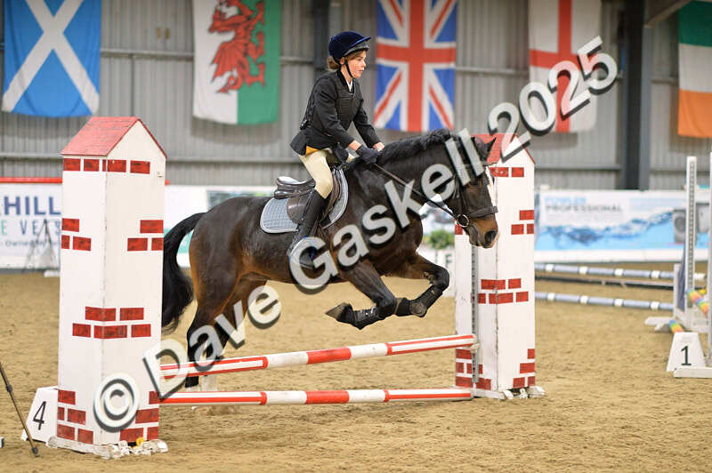 D4N_5571 - NorthcoteSun16thNov'25 Unaff.Jumping AvailableUntil16thDec'25