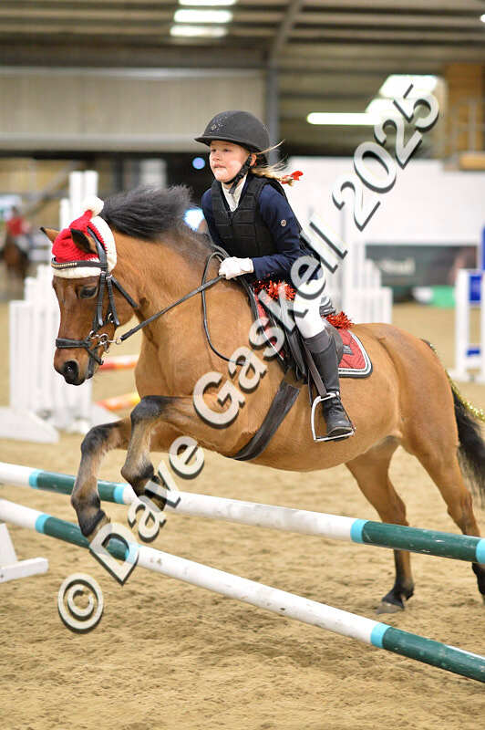 D4N_6786 - NorthcoteSat8thDec'25 XmasShowJumping AvailableUntil6thJan'26