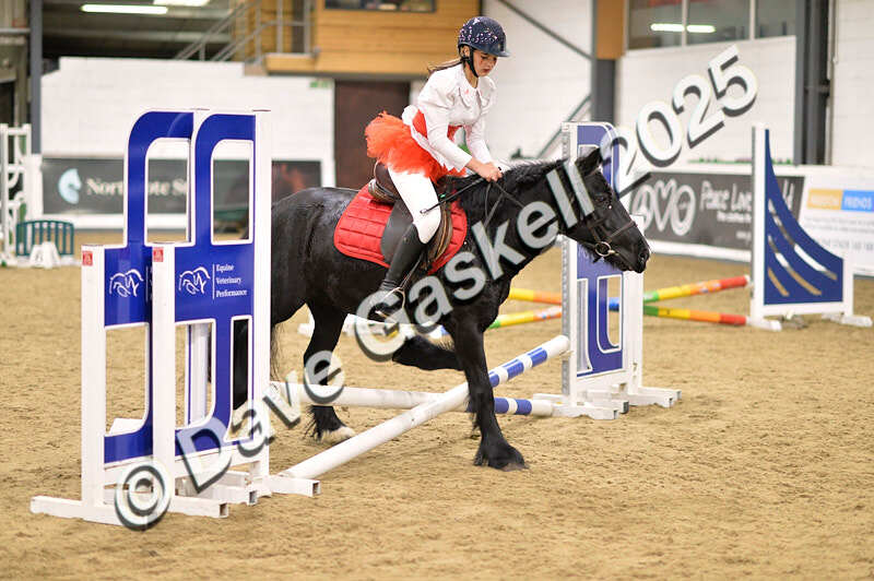 D4N_4713 - NorthcoteSun26thOct'25 Unaff.Jumping AvailableUntil28thNov'25