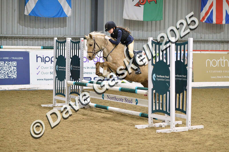 D4N_5715 - NorthcoteSun16thNov'25 Unaff.Jumping AvailableUntil16thDec'25