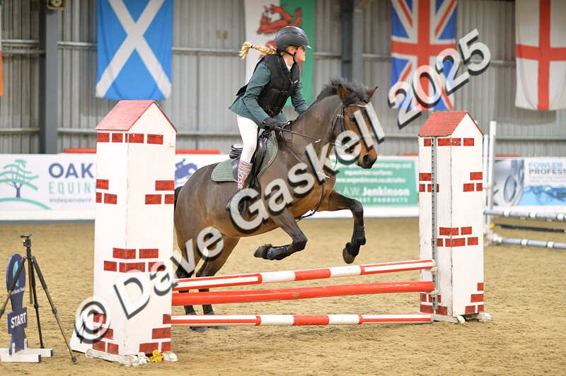 D4N_5597 - NorthcoteSun16thNov'25 Unaff.Jumping AvailableUntil16thDec'25