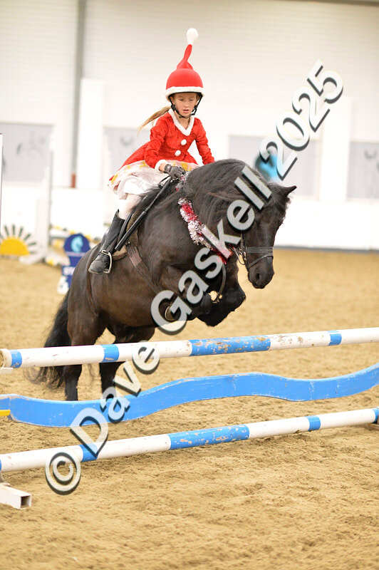 D4N_6831 - NorthcoteSat8thDec'25 XmasShowJumping AvailableUntil6thJan'26
