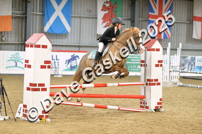 D4N_5835 - NorthcoteSun16thNov'25 Unaff.Jumping AvailableUntil16thDec'25