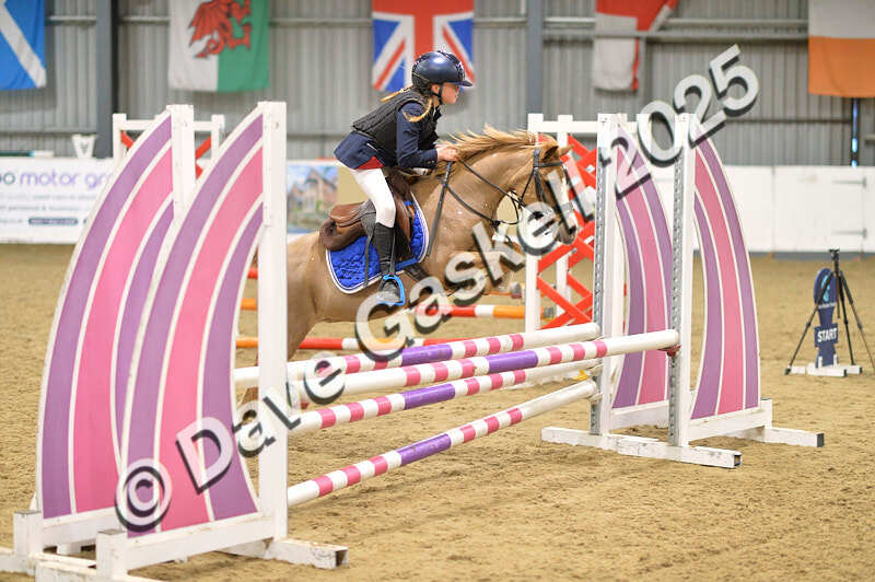 D4N_5700 - NorthcoteSun16thNov'25 Unaff.Jumping AvailableUntil16thDec'25