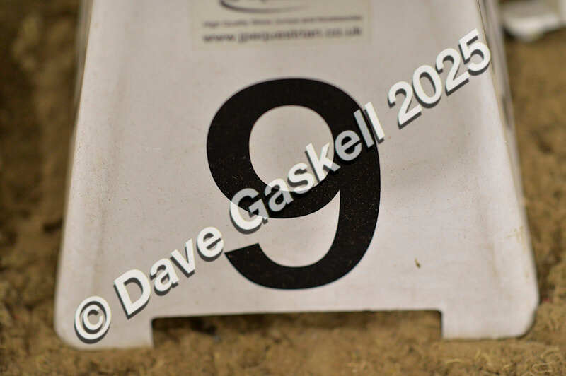 D4N_7111 - NorthcoteSat8thDec'25 XmasShowJumping AvailableUntil6thJan'26